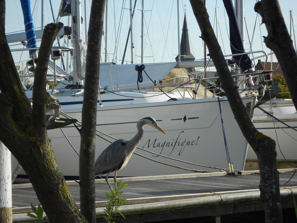 Marrekrite moorings